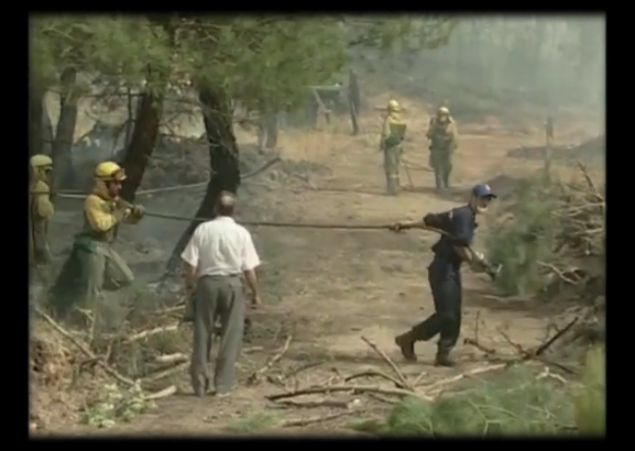 'Del negro al verde', el documental sobre el incendio que marcó una época en Soria