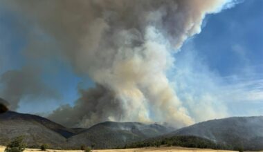Australia declara el estado de desastre por los incendios forestales