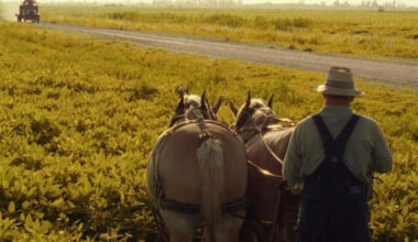 Hace 26 años, los hermanos Coen se adelantaron a Christopher Nolan y adaptaron 'La odisea' (más o menos) en una de sus mejores películas