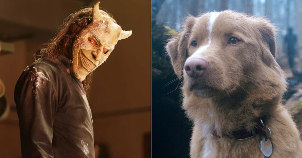 Indy, el perro actor de “Good Boy”, le ganó a Ethan Hawke y otros finalistas en los Astra Awards 2026