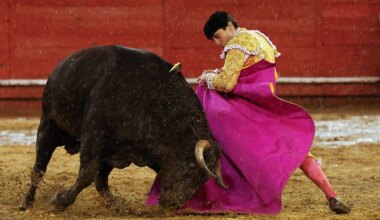 Castella, Ortega y De Miranda, una oreja por coleta en el lluvioso cierre de la Feria de Manizales - El Mundo