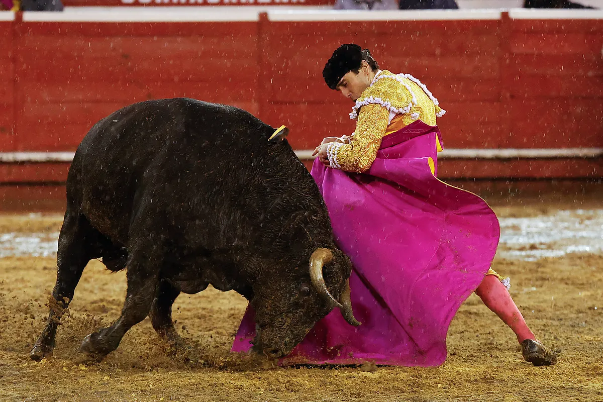 Castella, Ortega y De Miranda, una oreja por coleta en el lluvioso cierre de la Feria de Manizales - El Mundo