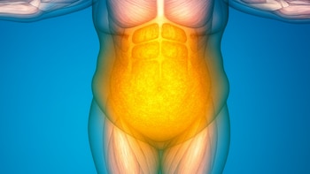 El estudio internacional liderado por