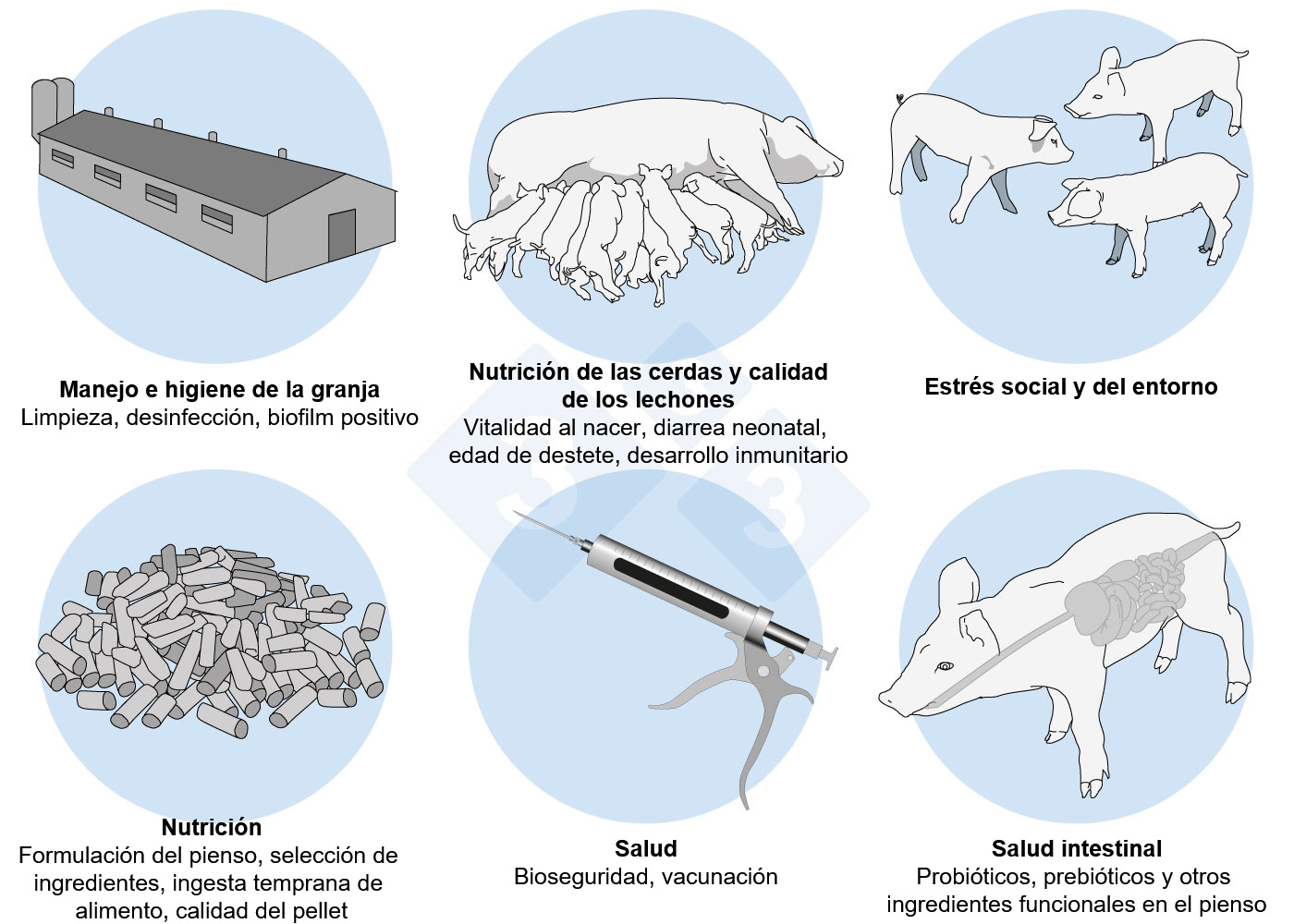 Figura 2. Un enfoque hol&iacute;stico para abordar el desaf&iacute;o multifactorial tras el destete.