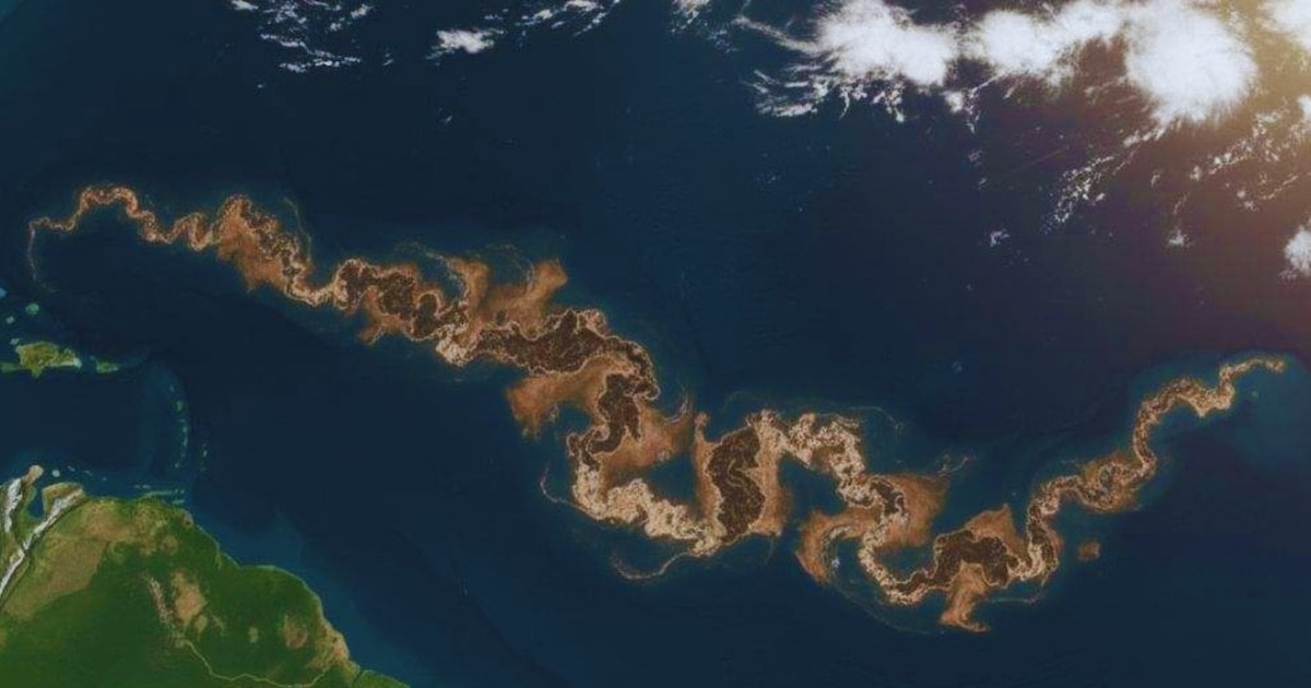 Qué es la franja marrón en el Atlántico y por qué preocupa a América y África