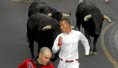 Encierros Blancos en San Sebastián de los Reyes 2026: a qué hora son, dónde ver por TV, ganaderías y recorridos - El Mundo