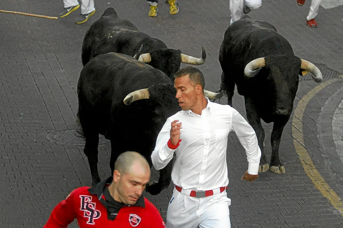 Encierros Blancos en San Sebastián de los Reyes 2026: a qué hora son, dónde ver por TV, ganaderías y recorridos - El Mundo