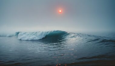 2025 consolida la crisis de ahogamientos en España