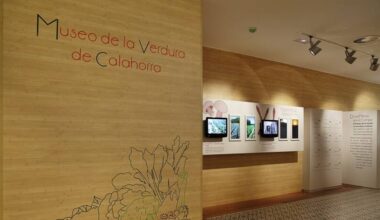 Los museos calagurritanos cierran 2025 con un aumento de visitantes