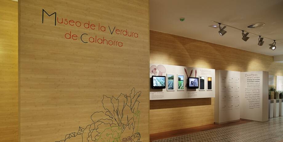 Los museos calagurritanos cierran 2025 con un aumento de visitantes