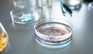 ¿Cuántos microplásticos existen en los principales ríos catalanes?