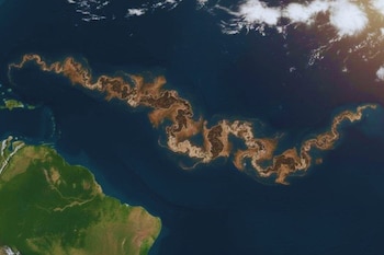 Imágenes satelitales muestran una franja