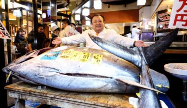 El atún de los 500 millones de yenes: un récord en la primera subasta del año en Toyosu