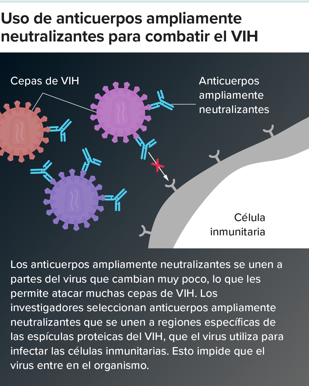 Gráfico de uso de anticuerpos neutralizantes con el VIH