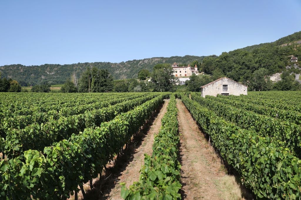 Viñedos del castillo francés de la Familia Real  danesa