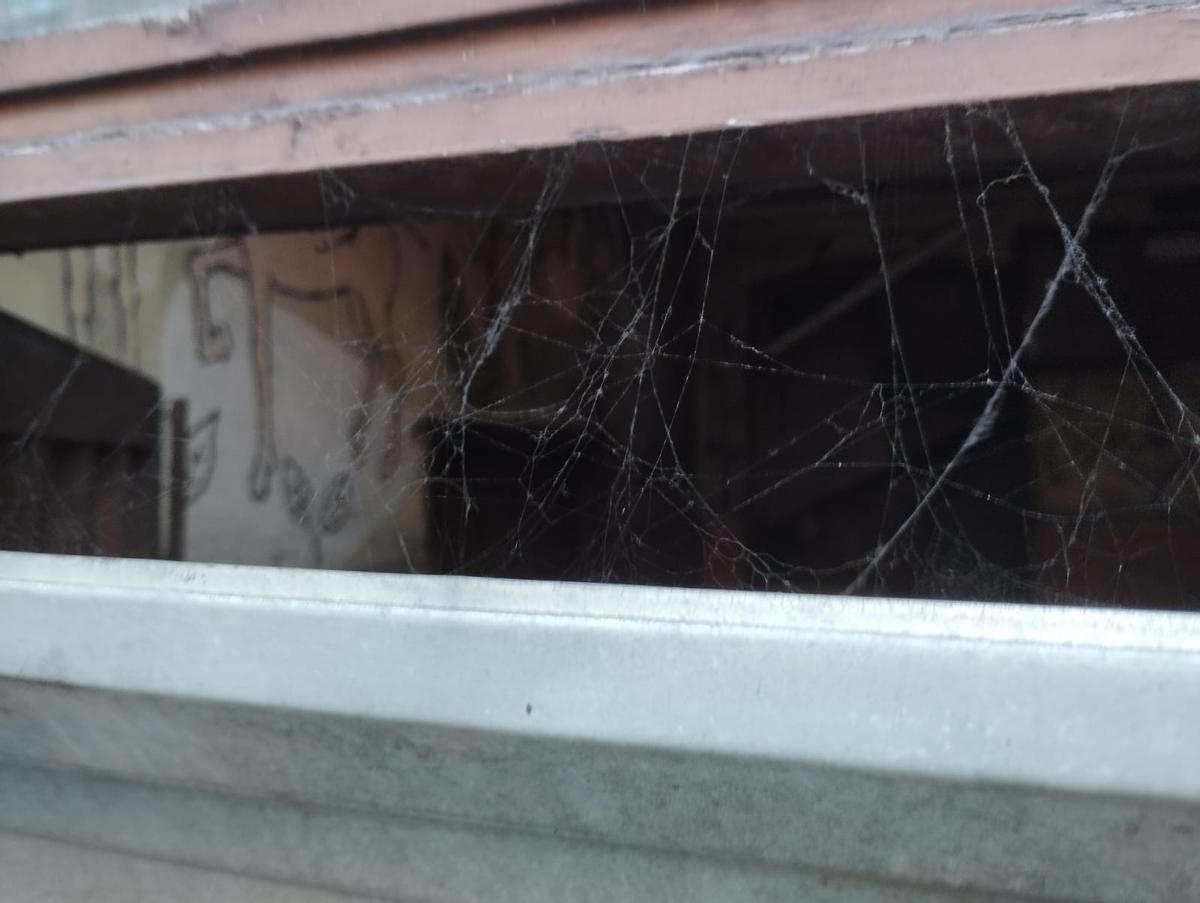 Uno de los murales, tras las telarañas de la valla.