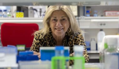 Castilla y León busca un algoritmo para anticiparse al deterioro cognitivo