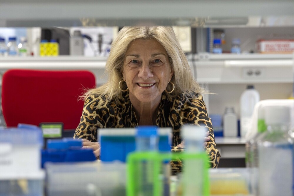 Castilla y León busca un algoritmo para anticiparse al deterioro cognitivo