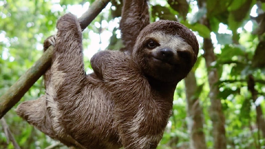 Sam Smith emocionado al conocer 