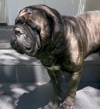 La última imagen compartida por