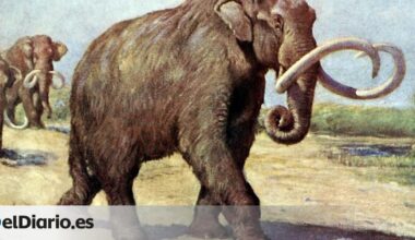 la caza humana inclinó la balanza hasta hacerlos desaparecer