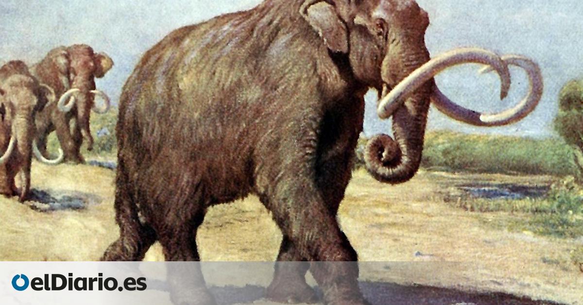 la caza humana inclinó la balanza hasta hacerlos desaparecer