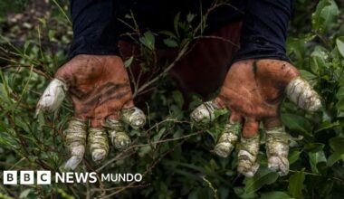 Qué papel juega realmente Venezuela en el narcotráfico y cómo se compara al de México y Colombia, los países a los que Trump advirtió tras la captura de Maduro
