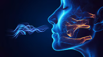 La pérdida del sentido del