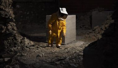 Fotografía de la exposición Where fireflies unfold.