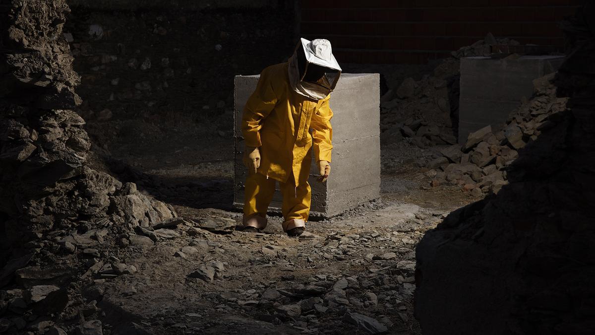 Fotografía de la exposición Where fireflies unfold.