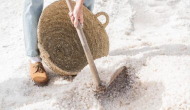 “El público simplemente piensa que el sodio y la sal son lo mismo”