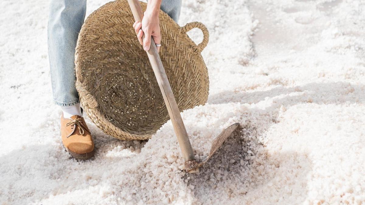 “El público simplemente piensa que el sodio y la sal son lo mismo”