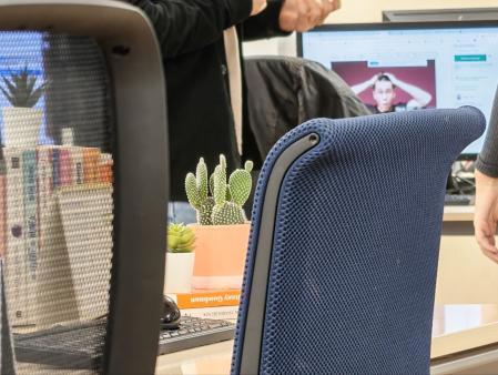 Nos fijamos en el cactus que se aprecia entre las dos sillas de oficina.