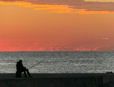 Imagen tomada con el Honor Magic 8 Pro.