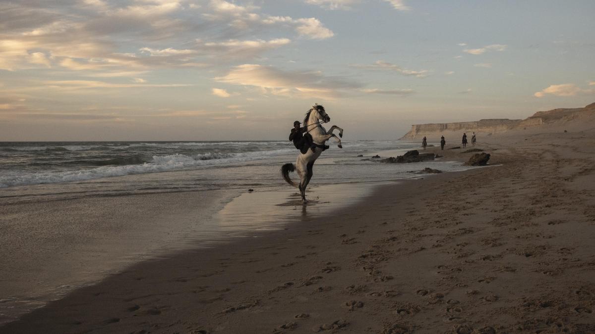 la cámara-denuncia de Samuel Nacar