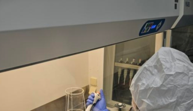 Genomas antiguos revelan que el herpesvirus humano acompaña a la humanidad desde la Edad del Hierro y dejó huella en nuestro ADN