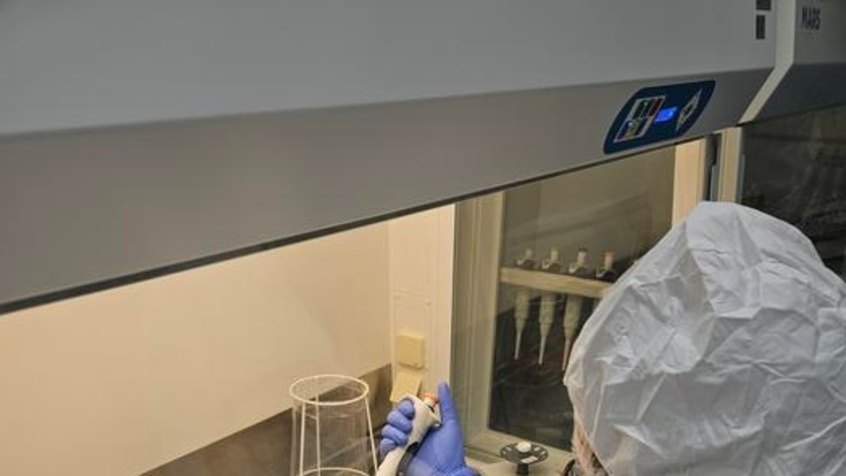 Genomas antiguos revelan que el herpesvirus humano acompaña a la humanidad desde la Edad del Hierro y dejó huella en nuestro ADN