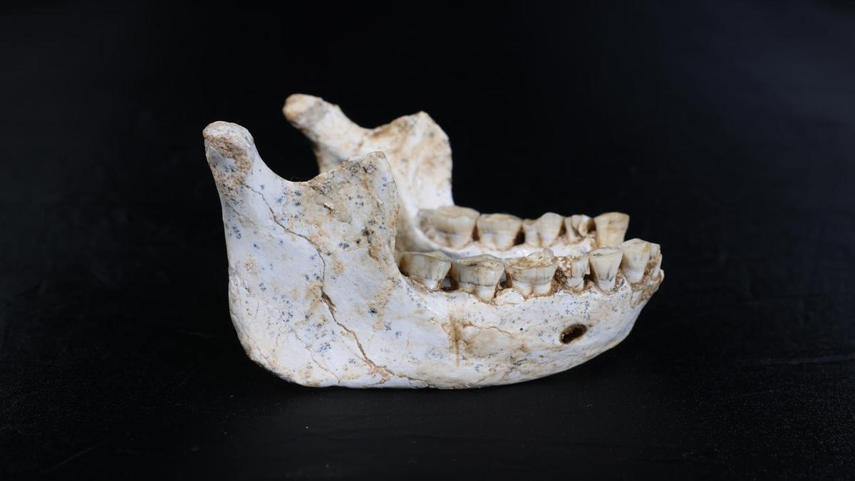 Fósiles de hace 770.000 años hallados en Marruecos aclaran el origen de los 'Homo sapiens'