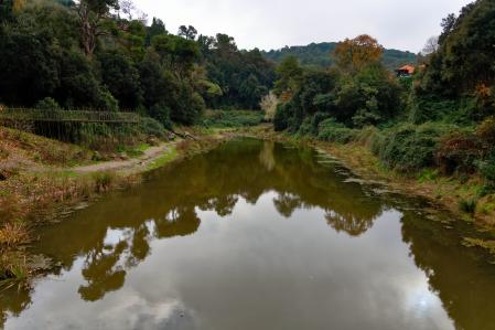 Fotografía realizada desde el muro y muestra el nivel (25-12-2025) de la lámina de agua del pantano de Vallvidrera.