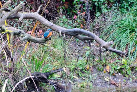Martín con más detalle (foto D).