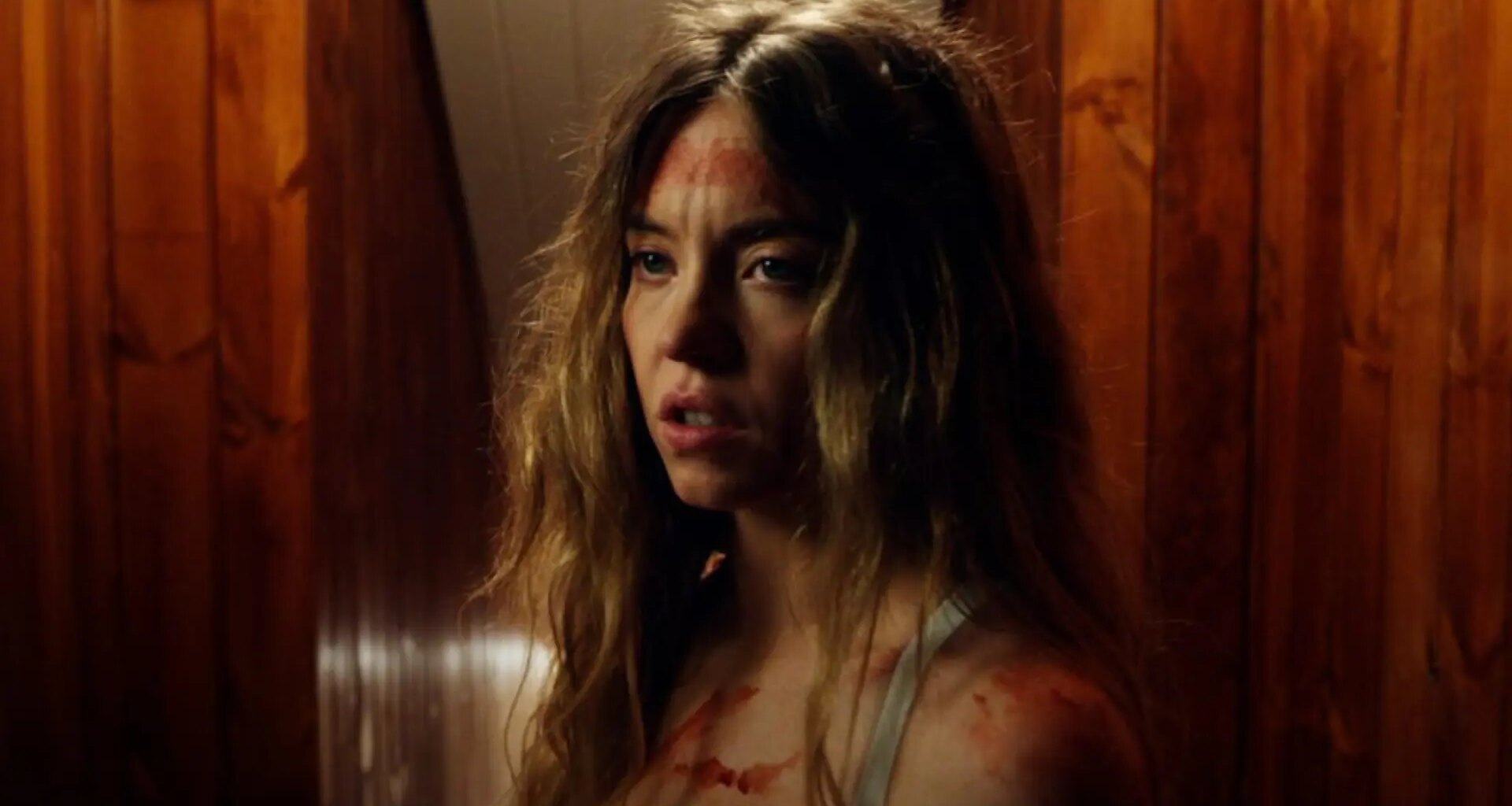 diferencias clave entre el libro y la película con Sydney Sweeney y Amanda Seyfried