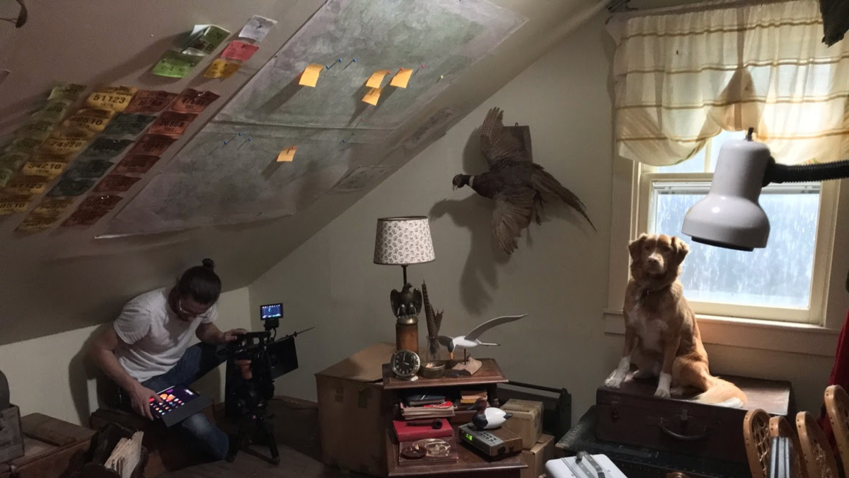 Indy, el perro protagonista de una película de terror, gana el premio al mejor actor en los Astra 2026