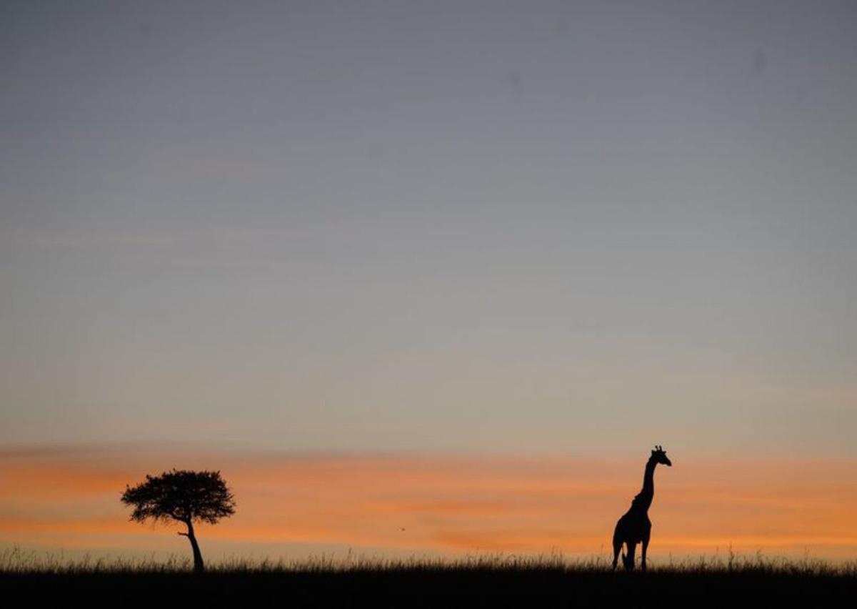 La cámara de Emilio Cueto, en medio de la tribu