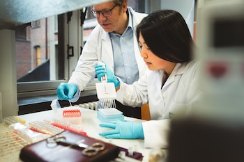 El estudio identificó más de