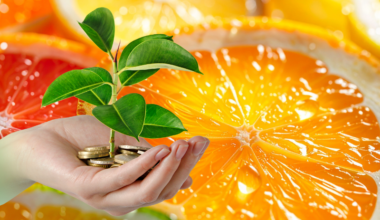 FONDO-DE-INVERSIÓN-CÍTRICOS