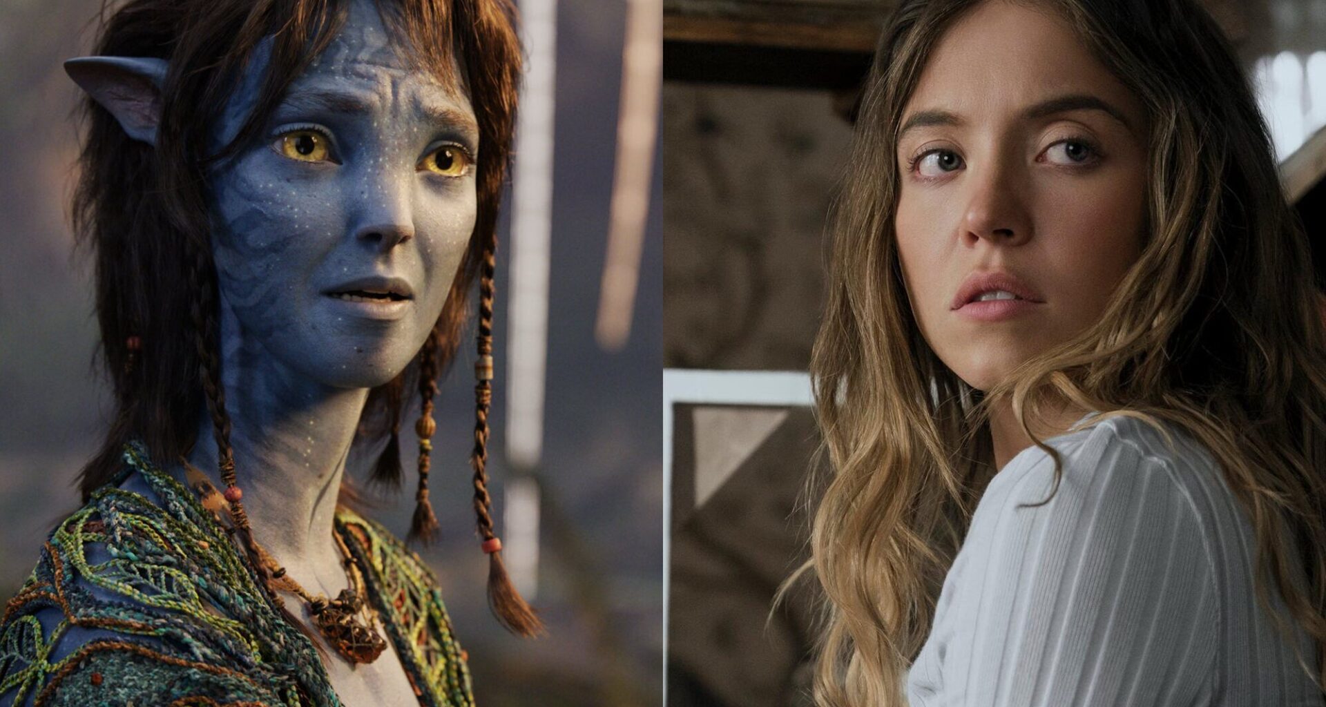 'Avatar 3' y 'La asistenta' dan a la taquilla española el mejor primer fin de semana del año desde 2016