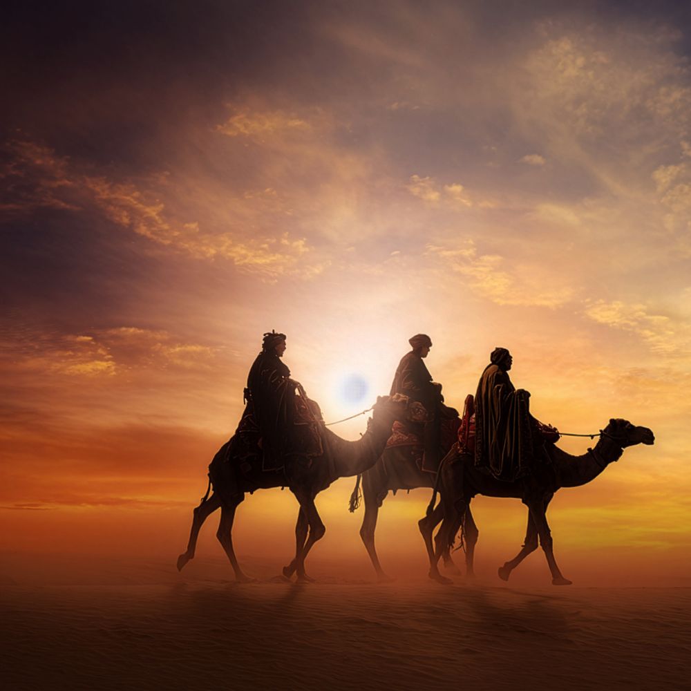 Ayuntamiento de Majadahonda