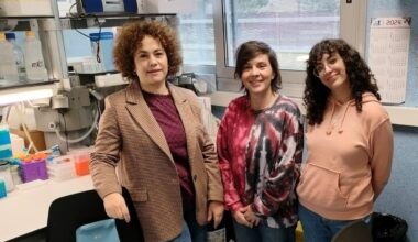 Nuevos tratamientos y biomarcadores no invasivos permiten la detección precoz del alzhéimer | Líder en Información Social