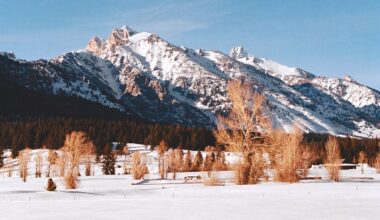 Entramos en el paraíso nevado de Lauren Santo Domingo (o cuando Frank Lloyd Wright se impone al chalet clásico)