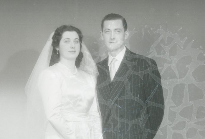 Álava reacciona 1 año tarde con el deterioro de fotografías de Schommer